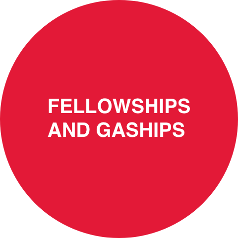 Fellowships and GAships 